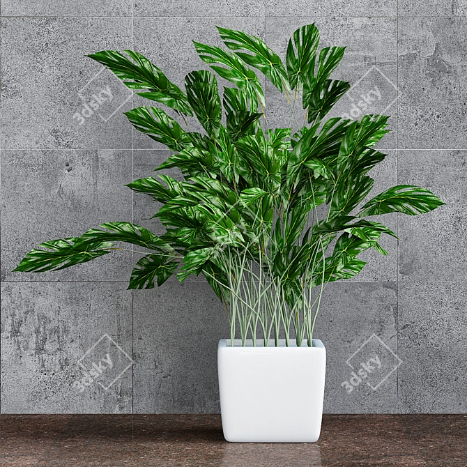 Exquisite Monstera Flowers: Vibrant & Refreshing 3D model image 1