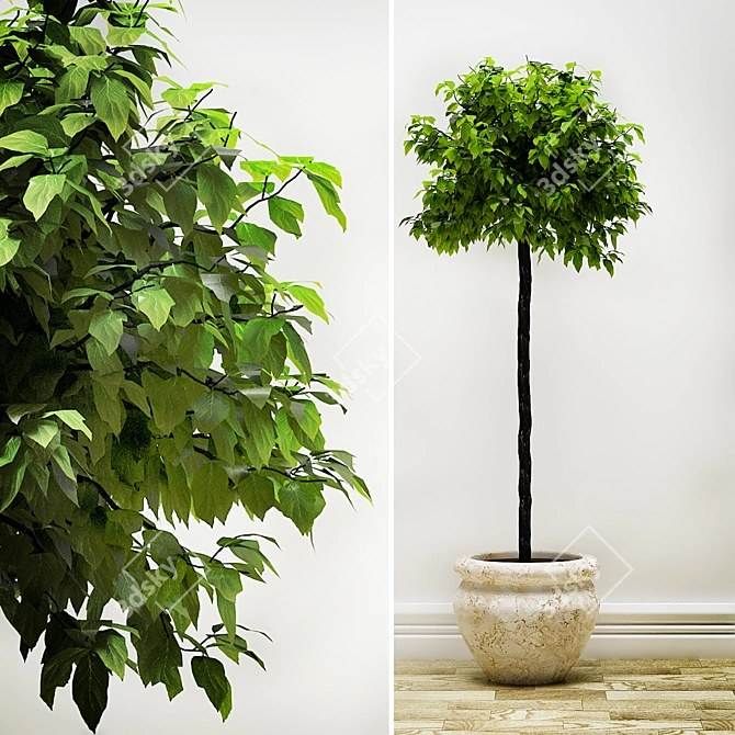 Indoor Jungle: PLANTS 2 3D model image 1