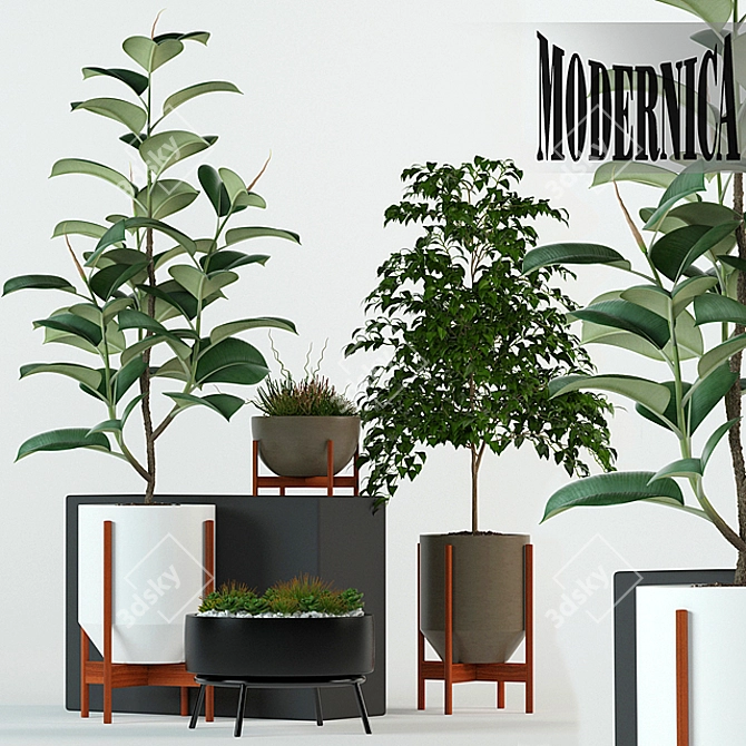 Botanical Bliss: 78 Modernica Pot Collection 3D model image 1