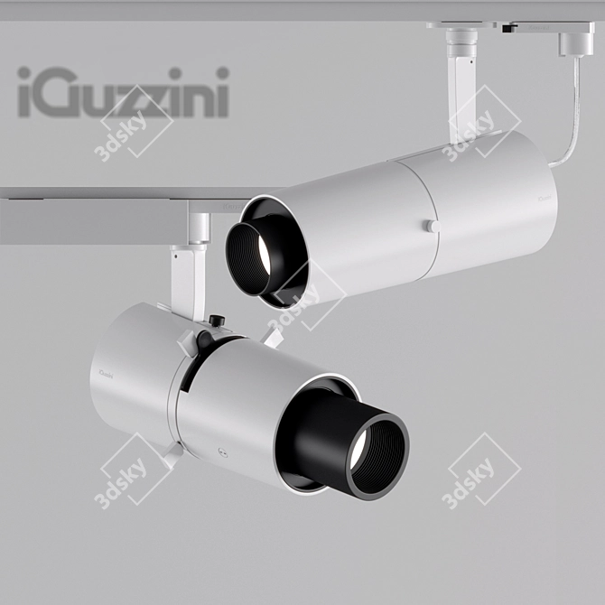 iGuzzini Palco Framer: Perfect Targeted Lighting 3D model image 1