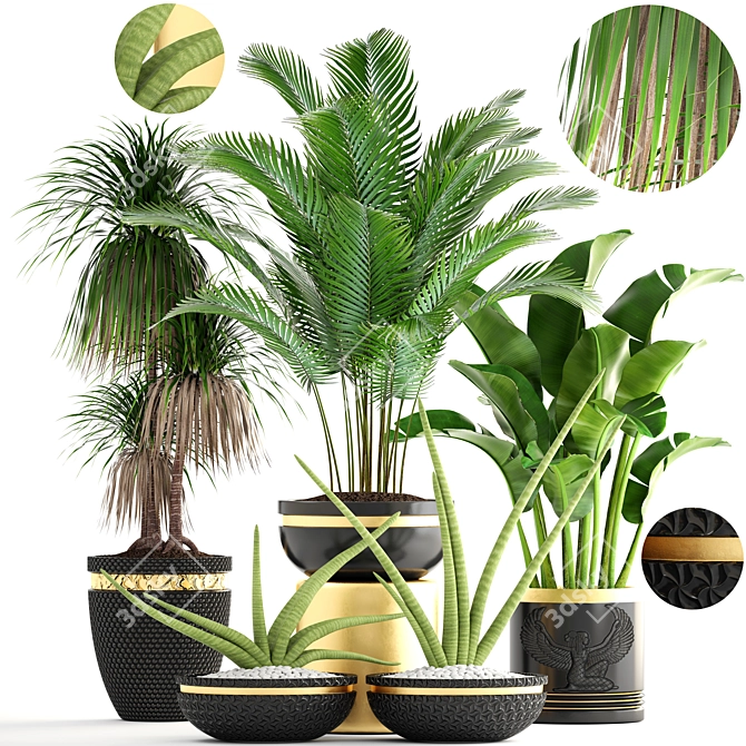 Luxury Indoor Plant Collection 3D model image 1