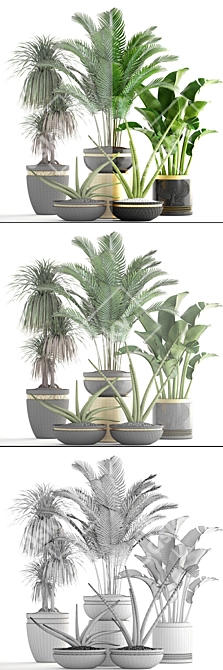 Luxury Indoor Plant Collection 3D model image 3