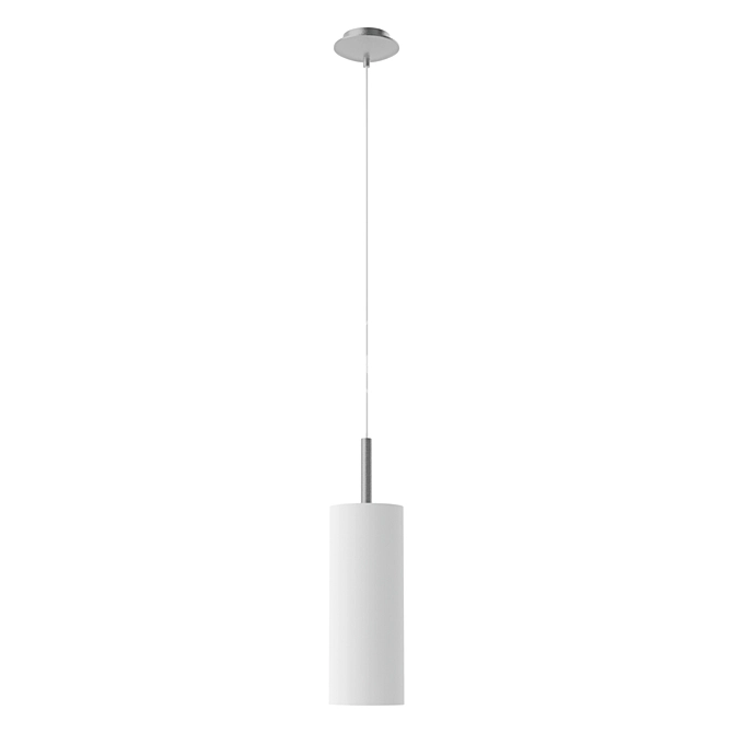 Elegant Nickel Matt and White Suspension 3D model image 1