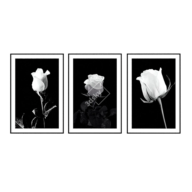 Monochrome Elegance: Black and White Rose Posters 3D model image 1