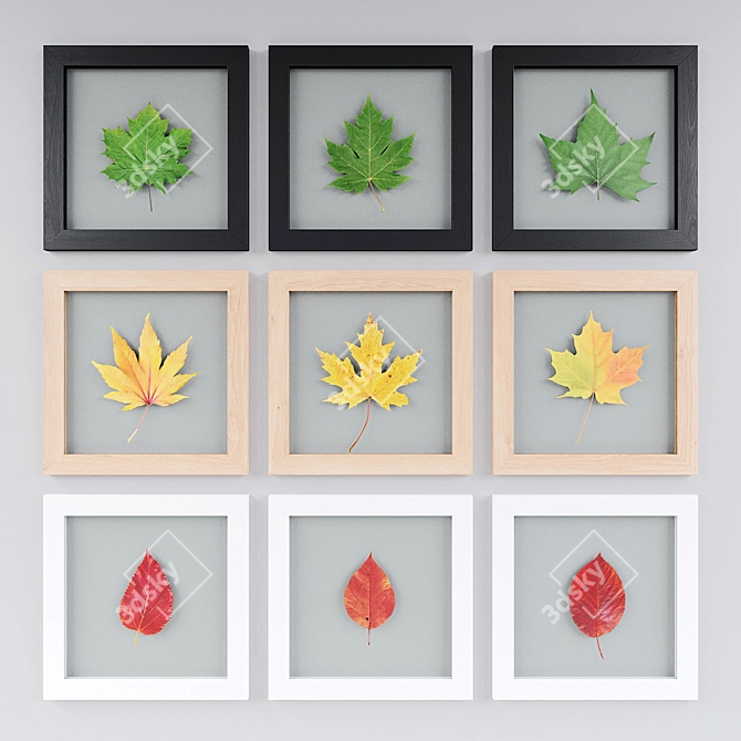 Nature's Reflections: Framed Leaf Art 3D model image 1