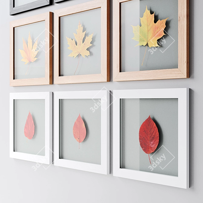 Nature's Reflections: Framed Leaf Art 3D model image 3