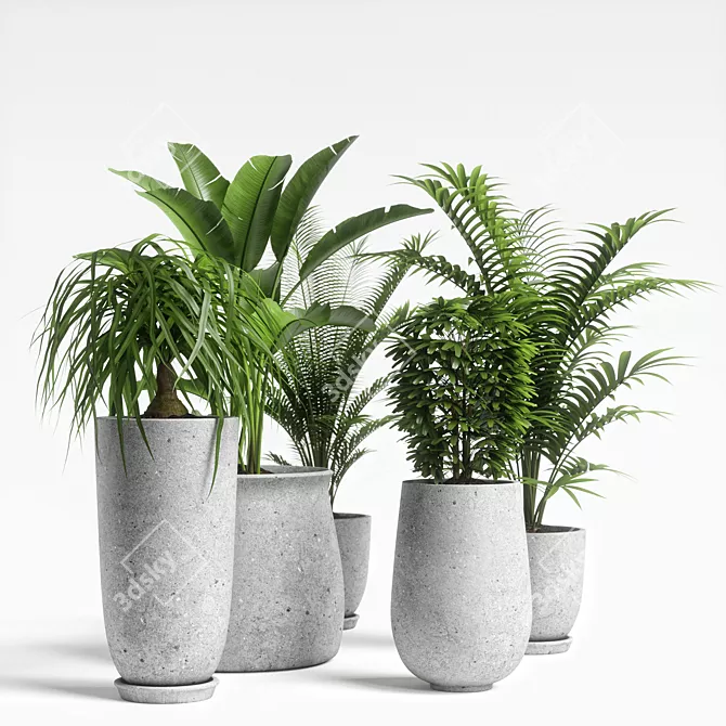 Versatile Plants Set 04: Maximize Your Visuals 3D model image 4