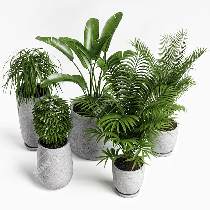 Versatile Plants Set 04: Maximize Your Visuals 3D model image 6