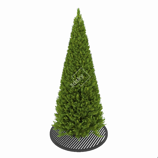 Thuja Green Beauty: Evergreen Elegance 3D model image 1