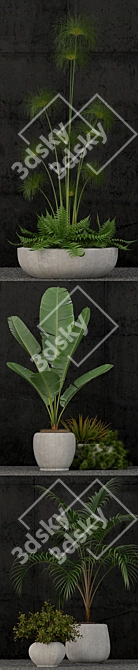 Botanical Bliss: 80 Plant Collection 3D model image 2