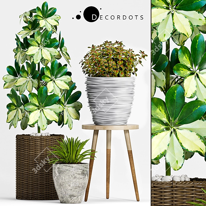 Green Oasis: Decorative Planters Set 3D model image 1