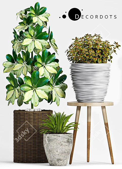 Green Oasis: Decorative Planters Set 3D model image 2