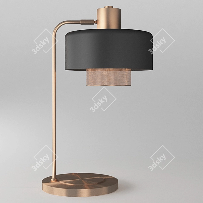 Bacote Copper Table Lamp 3D model image 1