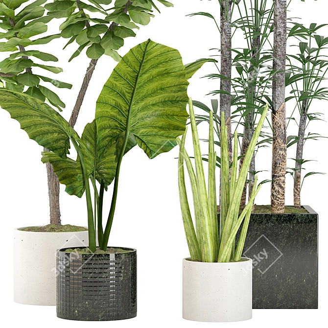 Tropical Indoor Plant Set 3D model image 2