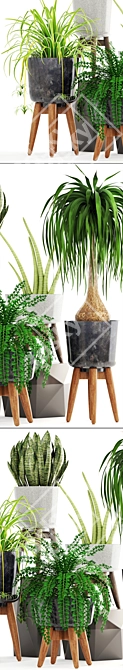 Indoor Greenery Collection 3D model image 2