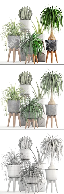 Indoor Greenery Collection 3D model image 3