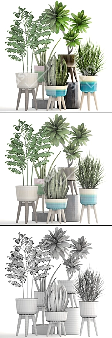 Tropical Greenery Collection: Plumeria, Chlorophytum, and More 3D model image 3