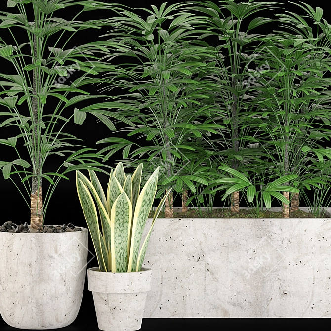 28-Piece Indoor Plant Set 3D model image 2