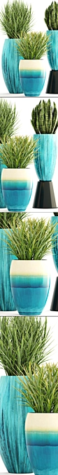 Green Oasis: Chlorophytum & Sansevieria Collection 3D model image 2