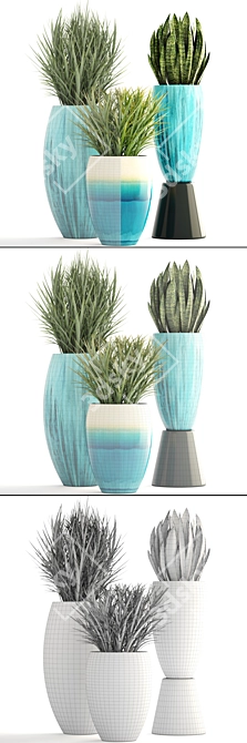 Green Oasis: Chlorophytum & Sansevieria Collection 3D model image 3