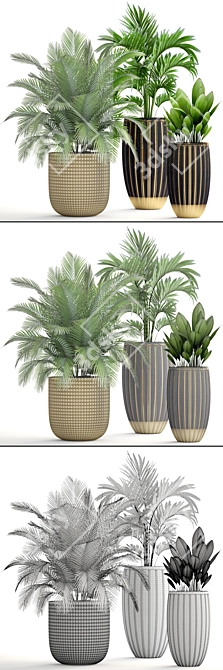 Tropical Plant Mix: Areca Palm, Howea, Kentia, Phoenix 3D model image 3