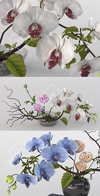 Elegant Orchid Ikebana Art 3D model image 2