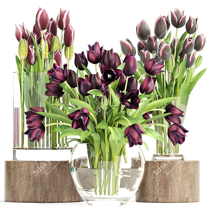 Spring Blooms: Collection of Tulips 3D model image 1