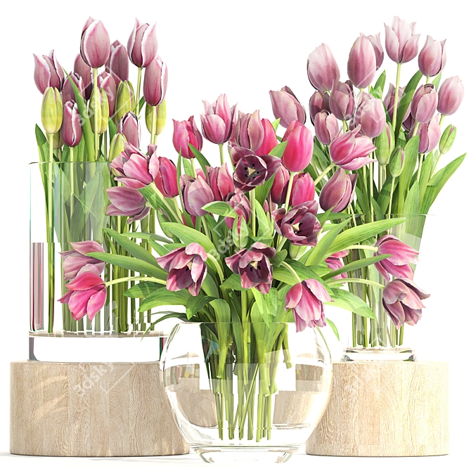 Tulip Trio in Glass Vases 3D model image 1