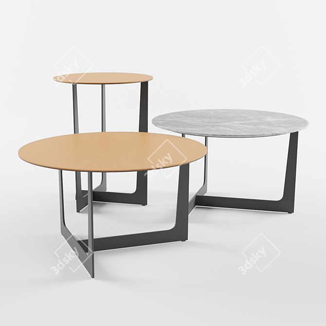 Elegant Ilary Coffee Tables 3D model image 1