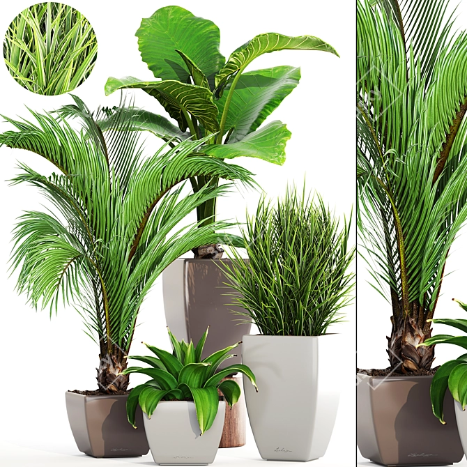 Green Haven: Beautiful Indoor Plant Collection 3D model image 1