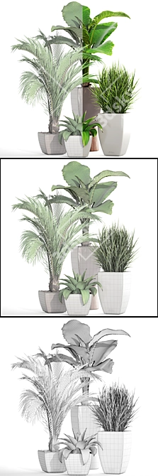 Green Haven: Beautiful Indoor Plant Collection 3D model image 3