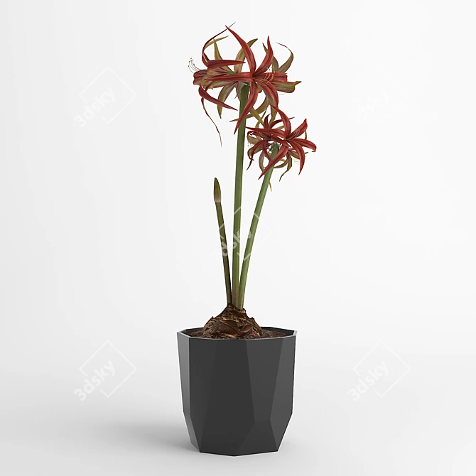  Elegant Amaryllis Flower in ELHO Pot 3D model image 1