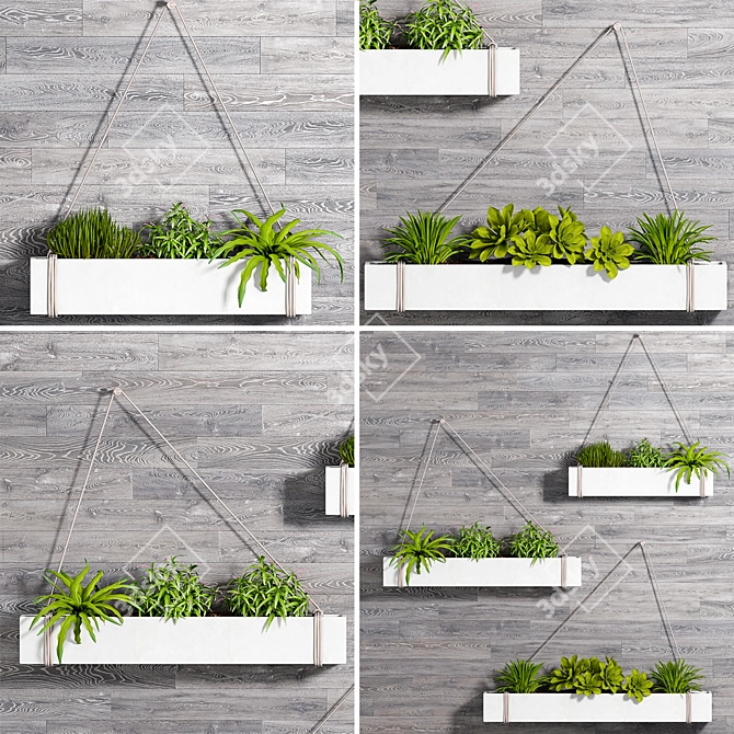  Boho Hanging Plant Box Set 3D model image 1