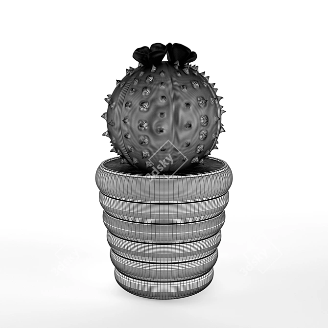 Title: Prickly Melocactus Ceramic Ornament 3D model image 2