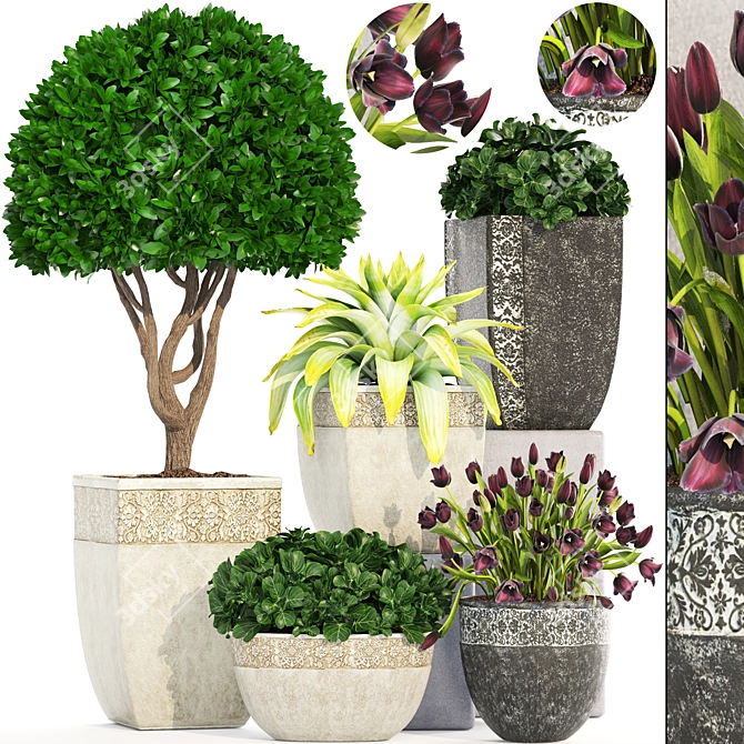 193 Plant Collection - Capi Europe Pots 3D model image 1