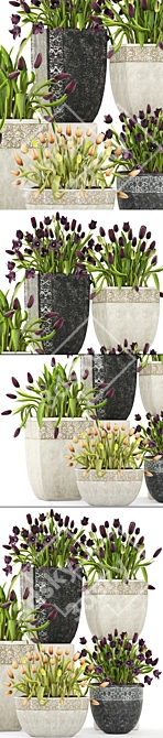 Tulip Trio Garden Collection 3D model image 2