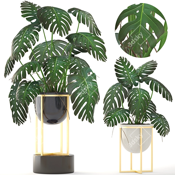 Luxury Gold Monstera Planter 3D model image 1