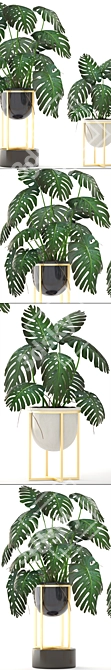 Luxury Gold Monstera Planter 3D model image 2