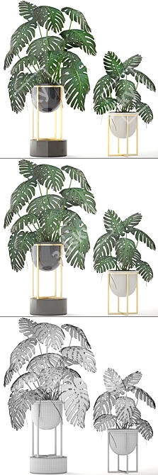 Luxury Gold Monstera Planter 3D model image 3