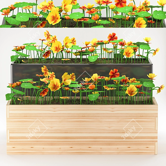 36 Plant: Indoor & Outdoor Garden Nasturtium 3D model image 1