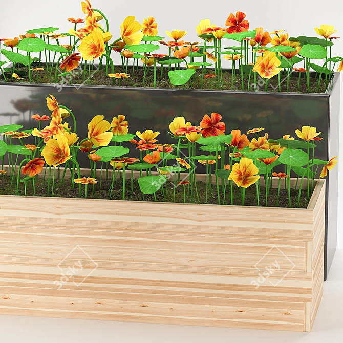 36 Plant: Indoor & Outdoor Garden Nasturtium 3D model image 2