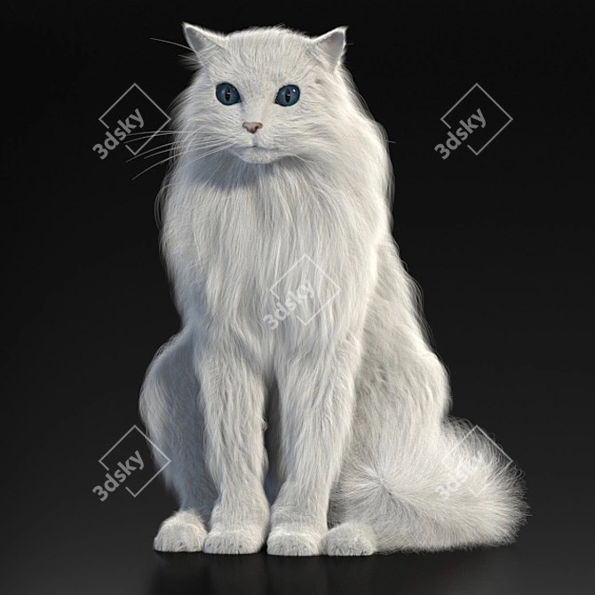 Turkish Angora 3D Model with Skeleton: Lifelike and Detailed 3D model image 1