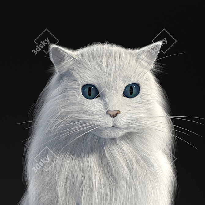 Turkish Angora 3D Model with Skeleton: Lifelike and Detailed 3D model image 2