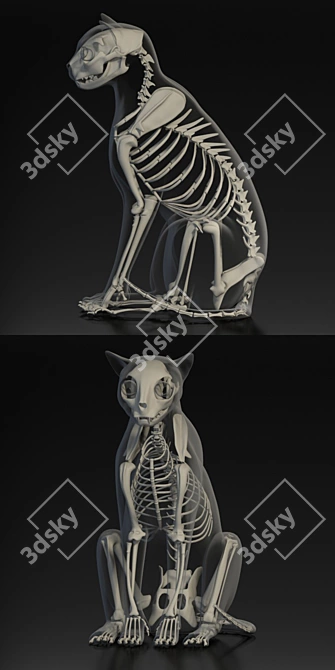 Turkish Angora 3D Model with Skeleton: Lifelike and Detailed 3D model image 3