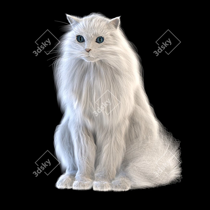 Turkish Angora 3D Model with Skeleton: Lifelike and Detailed 3D model image 4