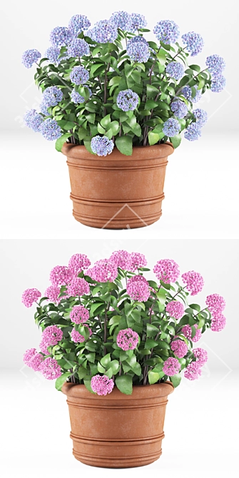 Hortense Hydrangea: Lifelike Plant Decoration 3D model image 3