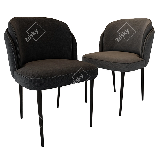 Elegant Noir Side Chair 3D model image 1