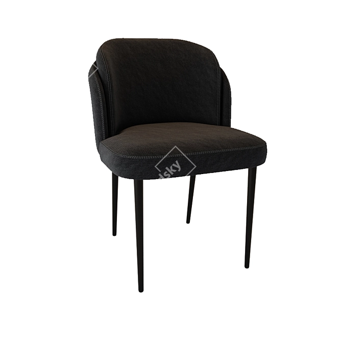 Elegant Noir Side Chair 3D model image 2