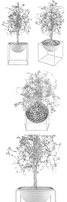  Petite Foliage: Lifelike Dry Plant 3D model image 3