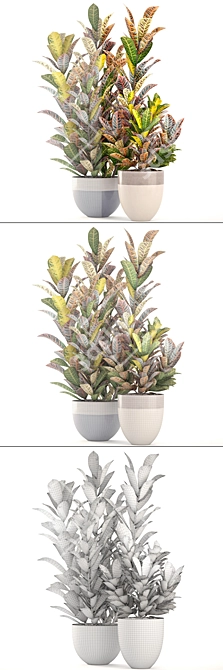 Bloomingville Terracotta Collection: Croton in Pot 3D model image 3